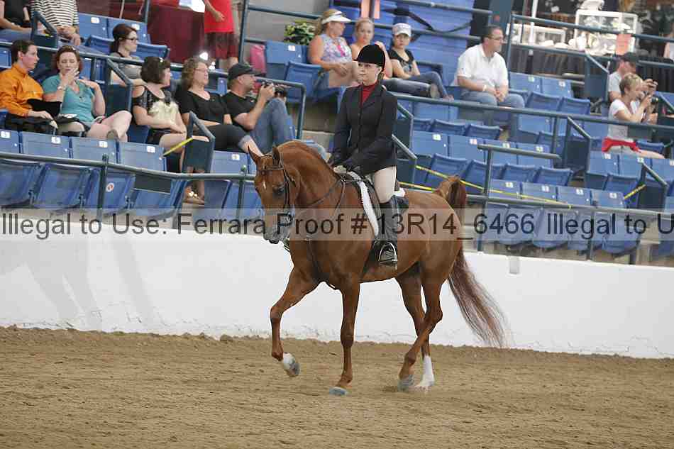 Proof 13r14_6466
