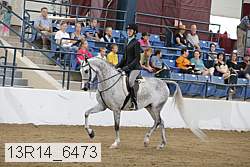 13r14_6473 proof