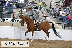 13r14_6476 proof