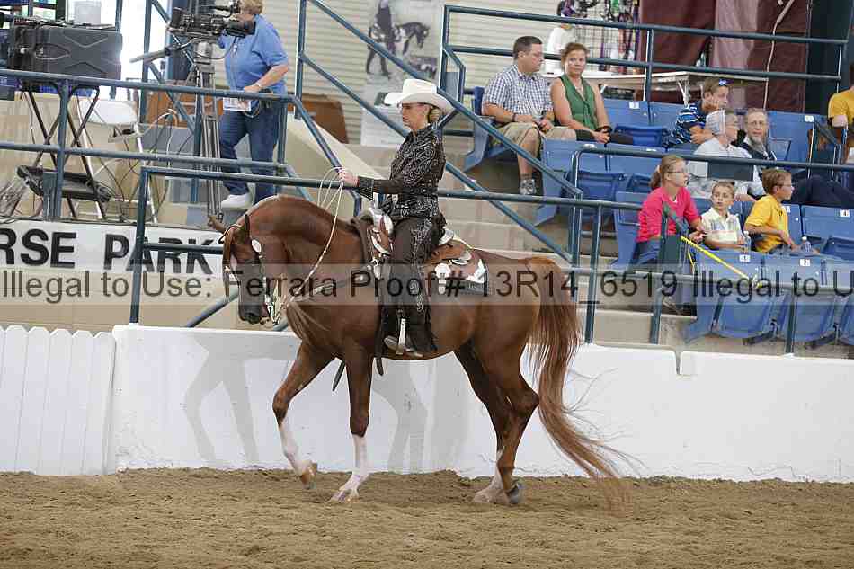 Proof 13r14_6519