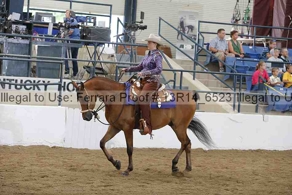 Proof 13r14_6523