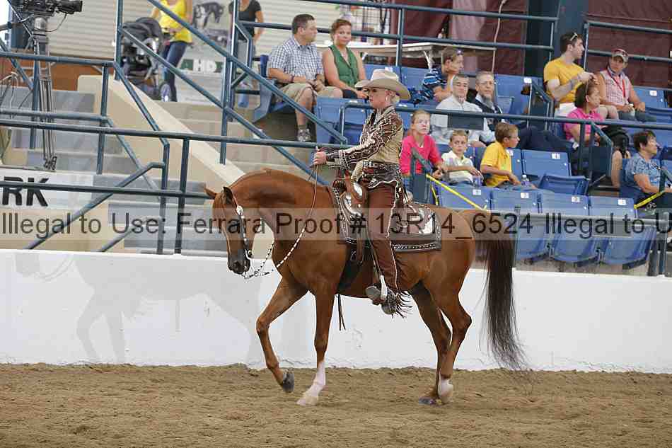 Proof 13r14_6524