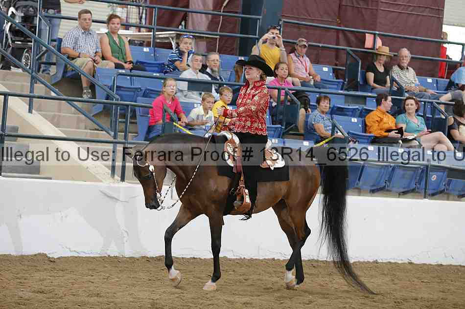 Proof 13r14_6526