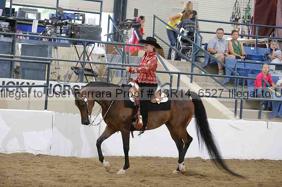 Proof 13r14_6527