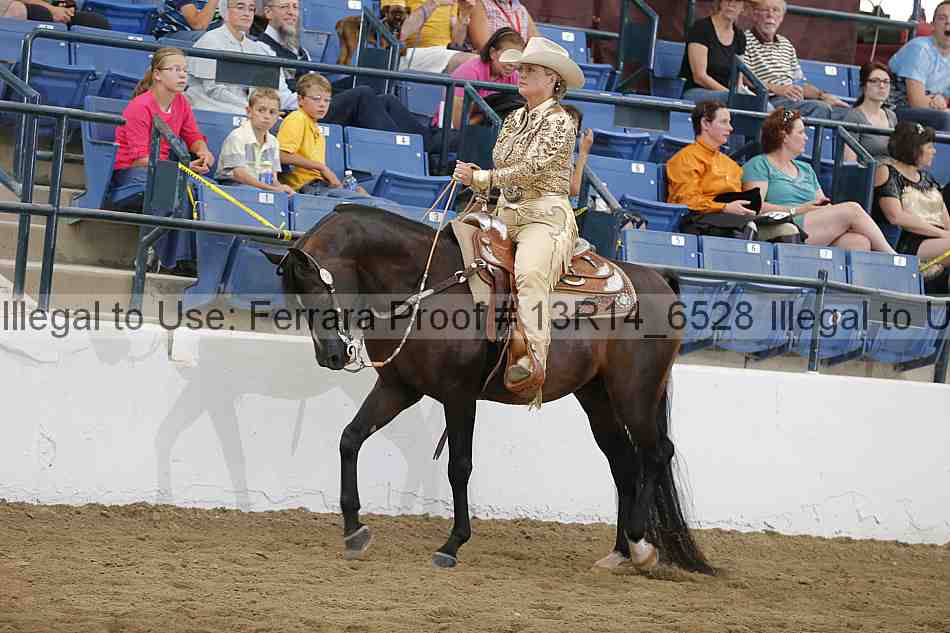 Proof 13r14_6528