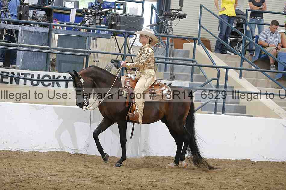 Proof 13r14_6529