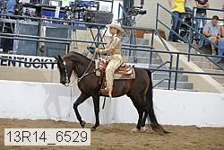 13r14_6529 proof