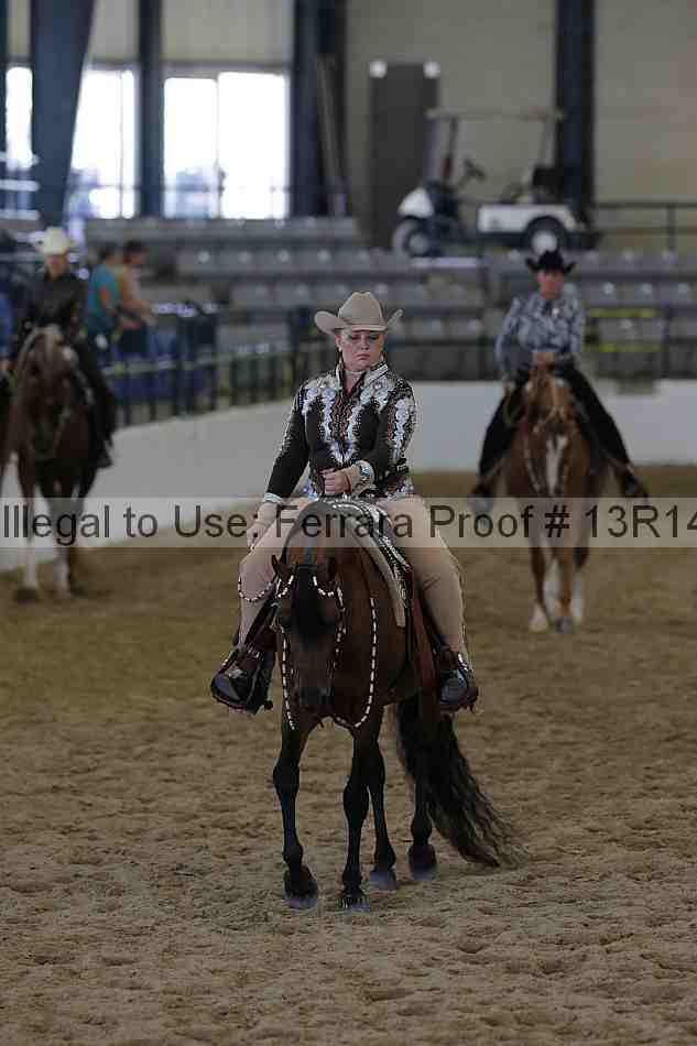 Proof 13r14_6531