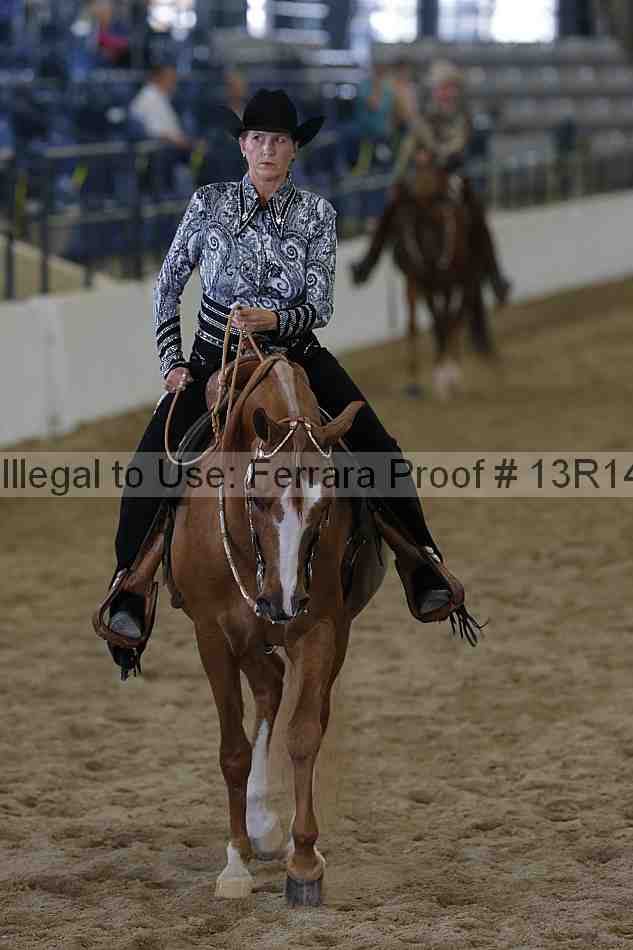 Proof 13r14_6533