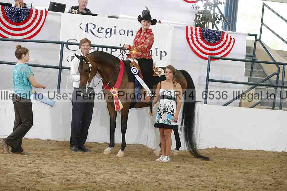 Proof 13r14_6536