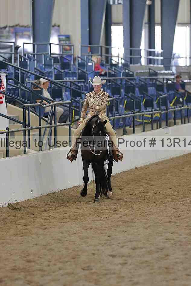 Proof 13r14_6547