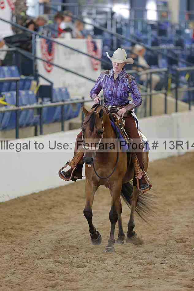 Proof 13r14_6553