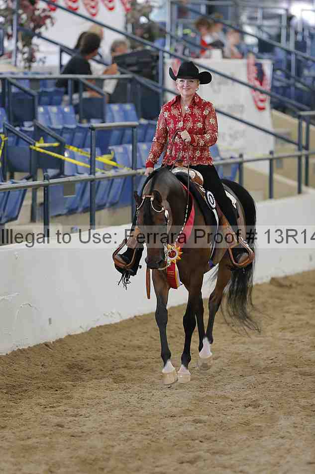 Proof 13r14_6555