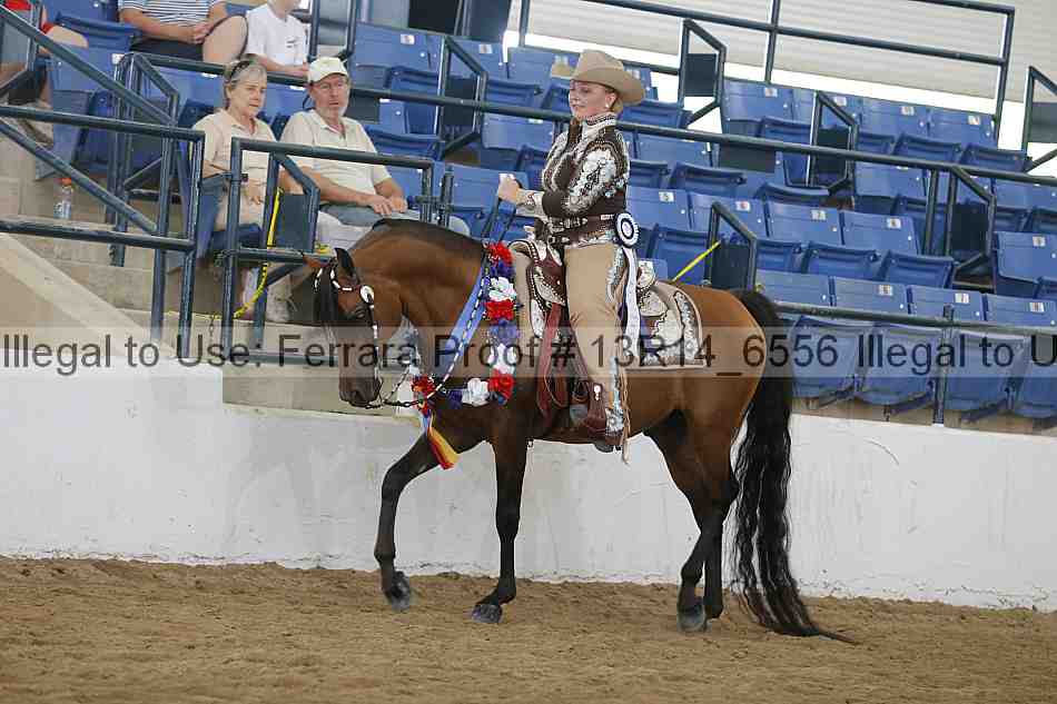 Proof 13r14_6556