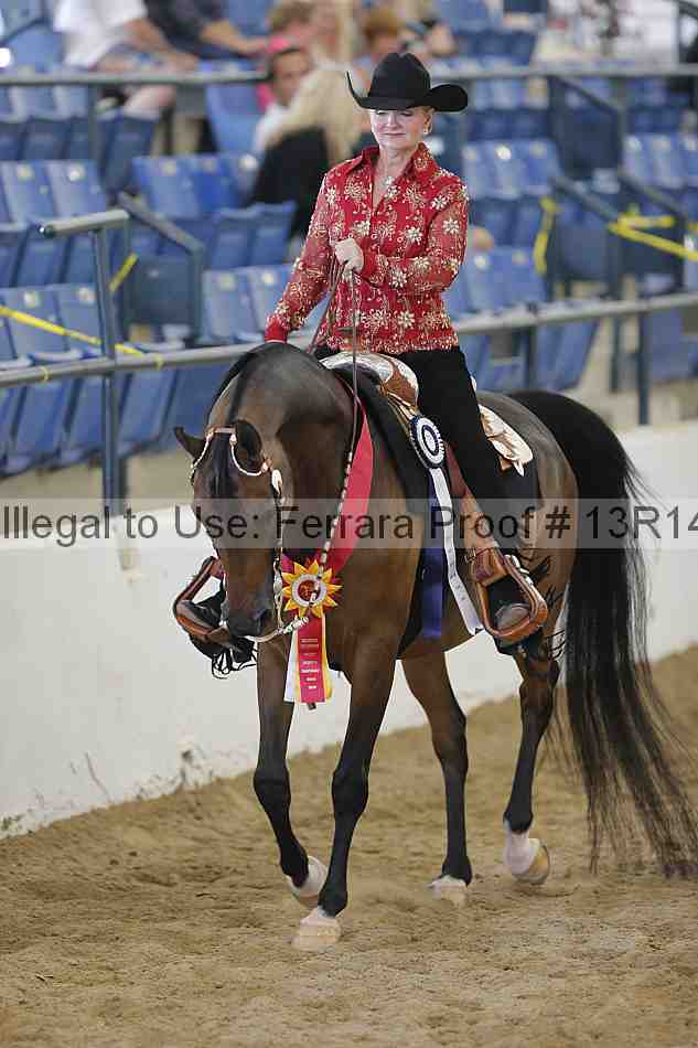 Proof 13r14_6557