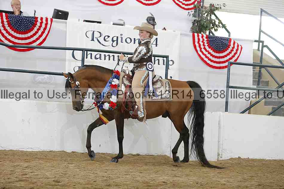 Proof 13r14_6558