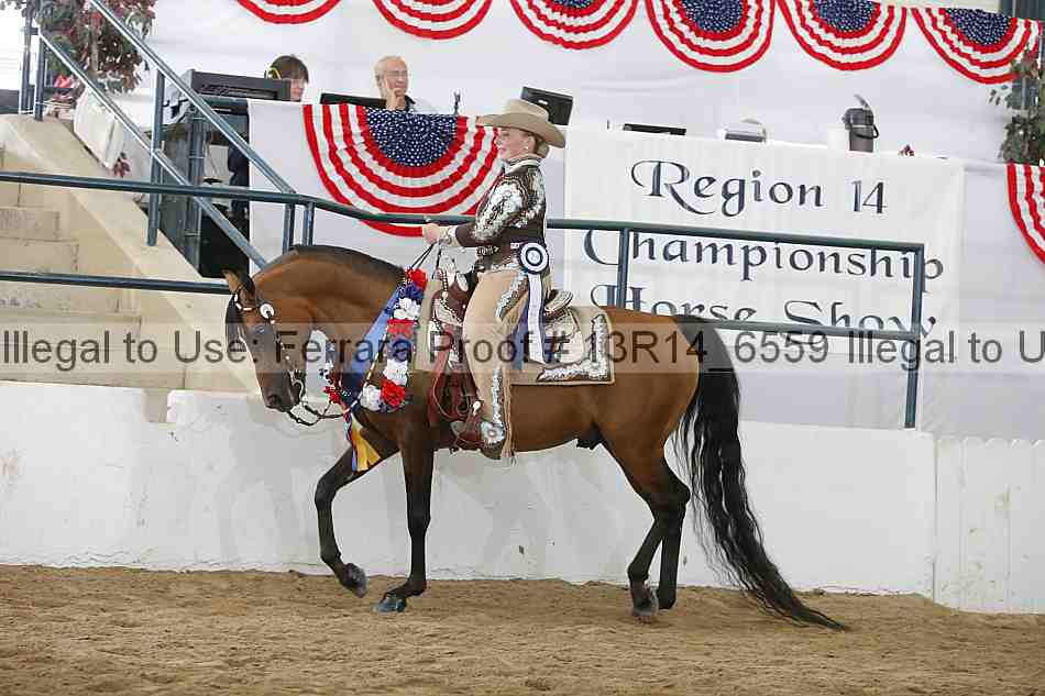 Proof 13r14_6559