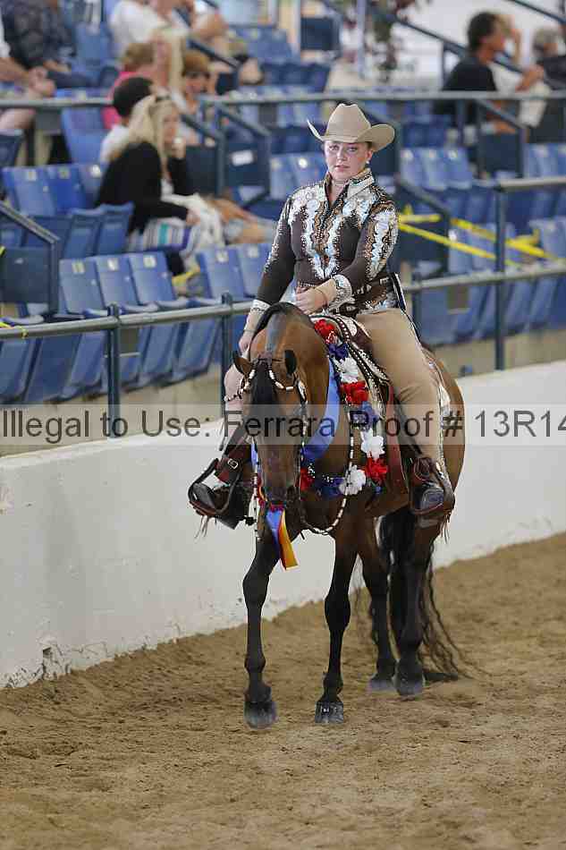 Proof 13r14_6561