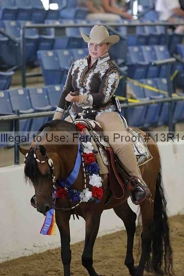 Proof 13r14_6562