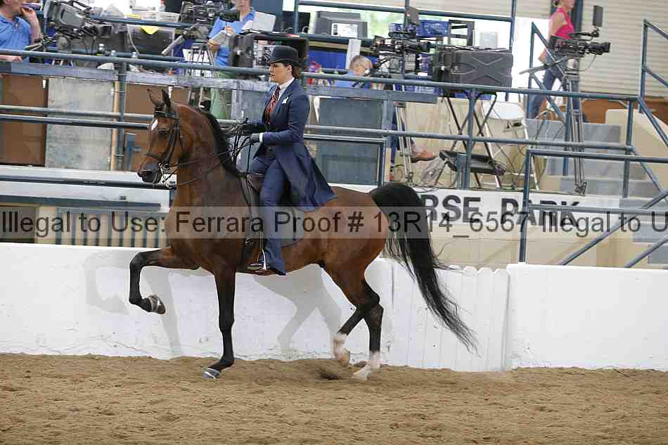 Proof 13r14_6567