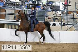 13r14_6567 proof