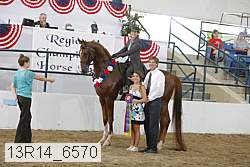 13r14_6570 proof