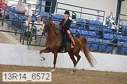 13r14_6572 proof