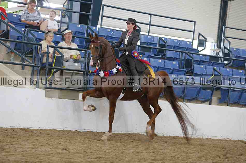 Proof 13r14_6573