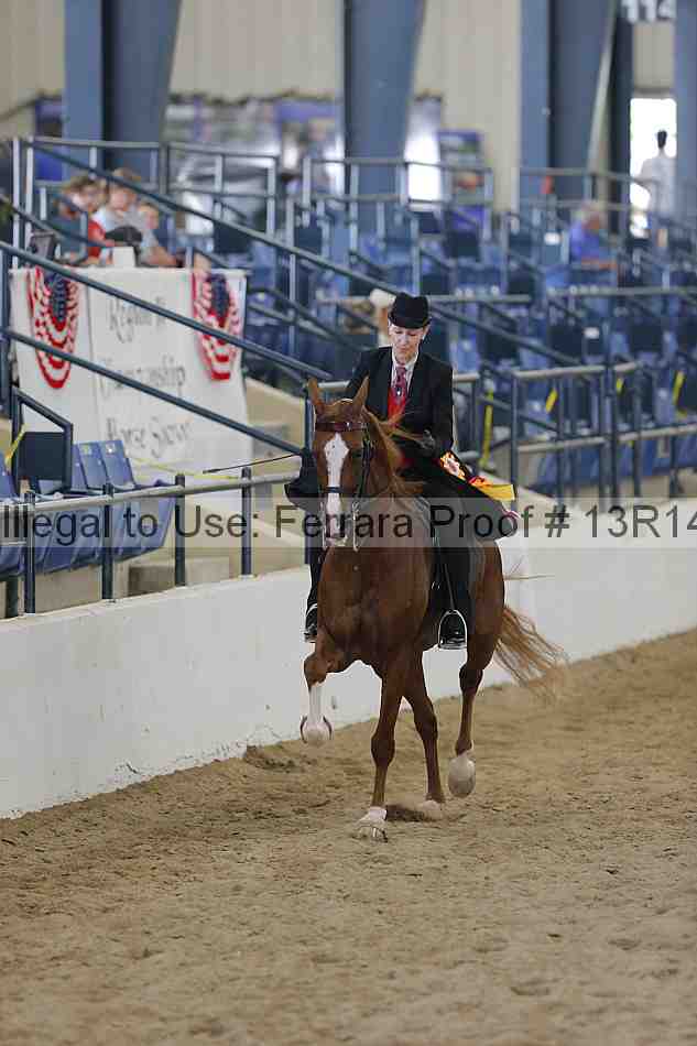 Proof 13r14_6574