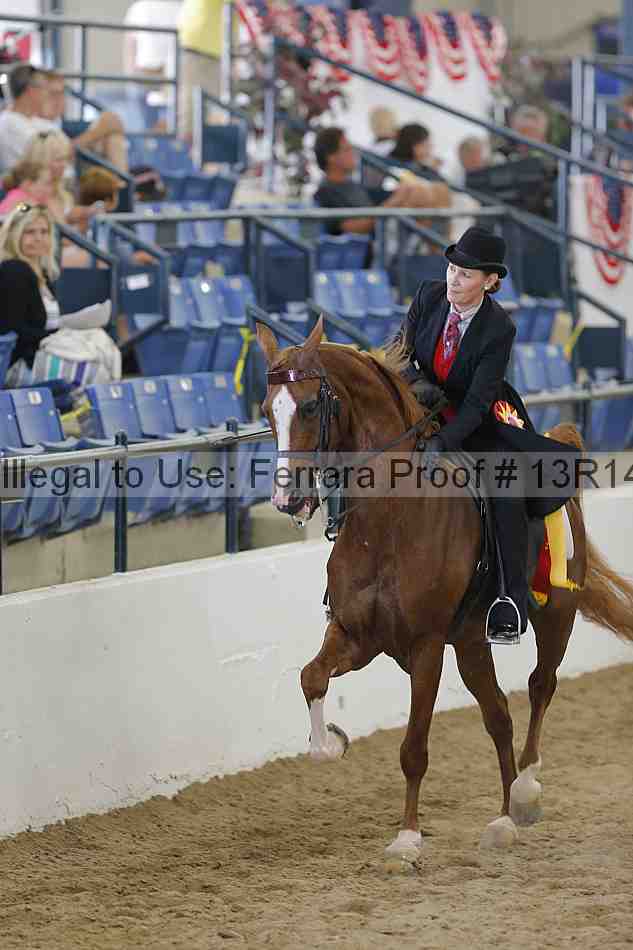 Proof 13r14_6576