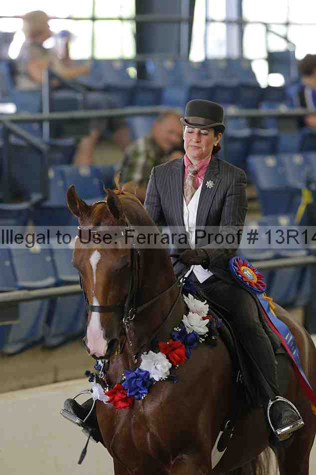 Proof 13r14_6579