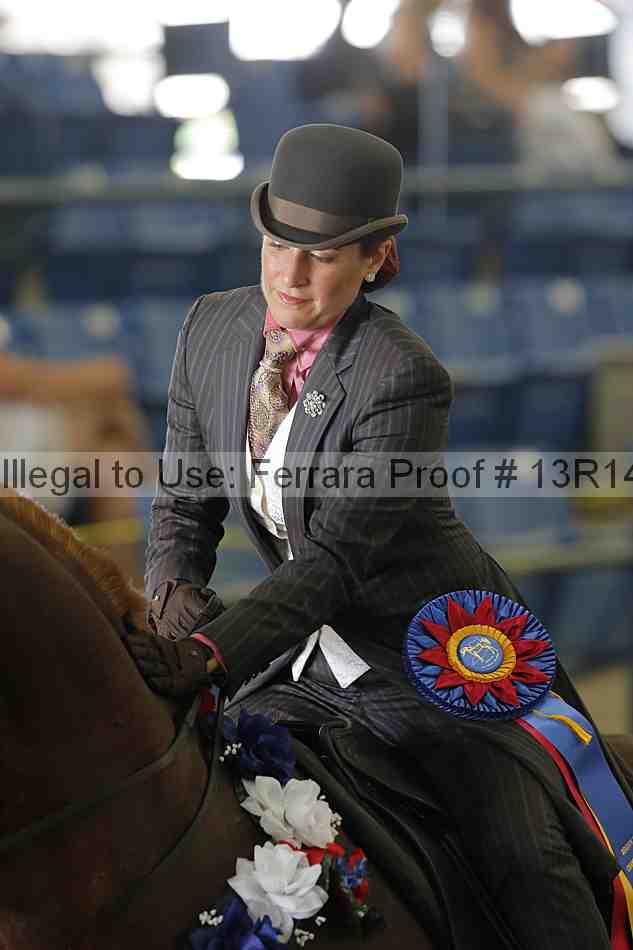 Proof 13r14_6580