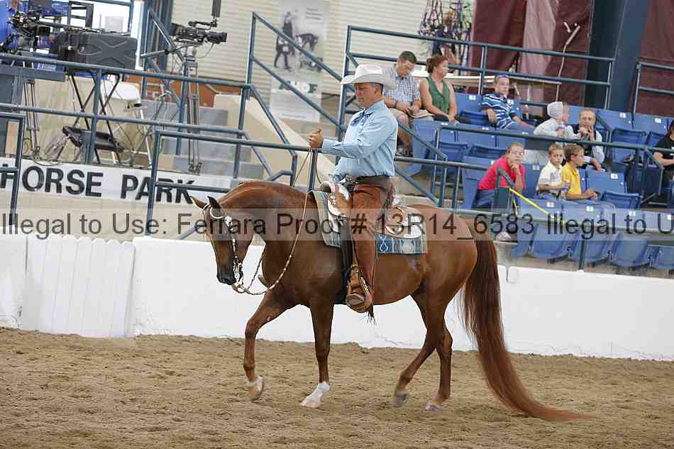 Proof 13r14_6583
