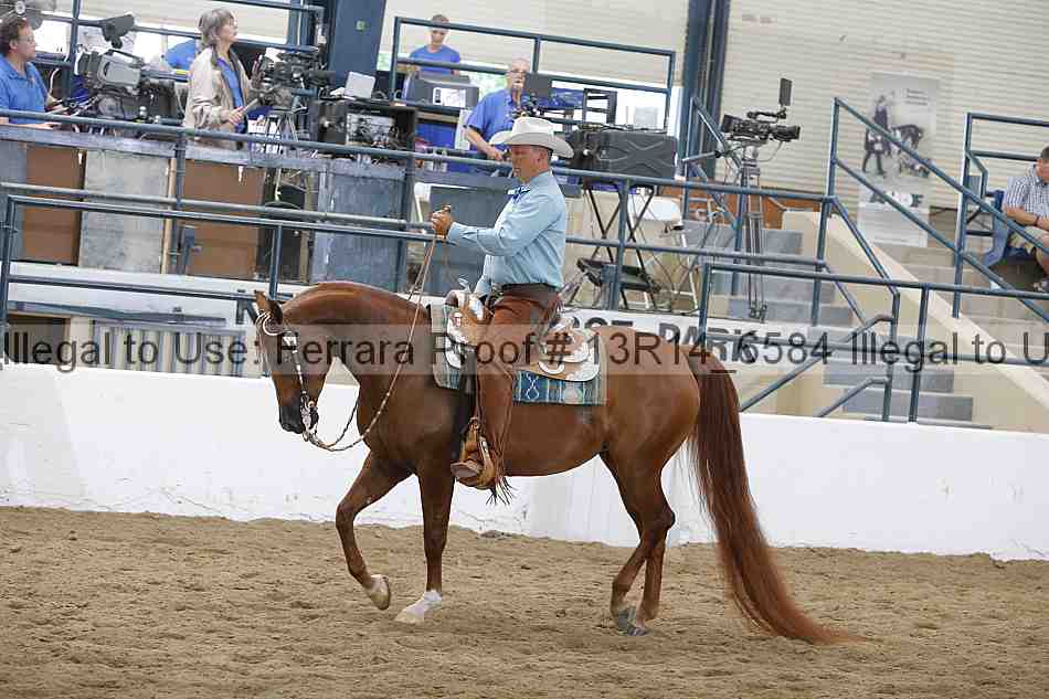 Proof 13r14_6584