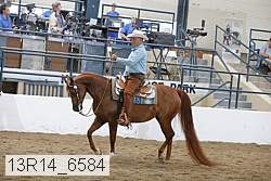 13r14_6584 proof