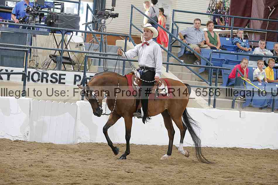 Proof 13r14_6586