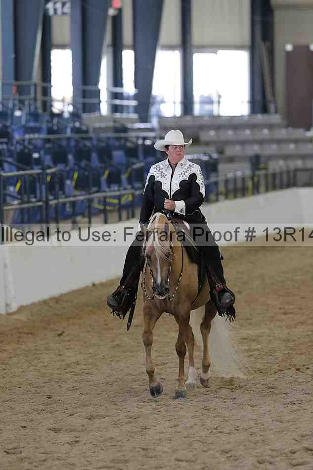 Proof 13r14_6587
