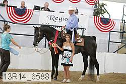 13r14_6588 proof