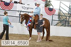 13r14_6590 proof