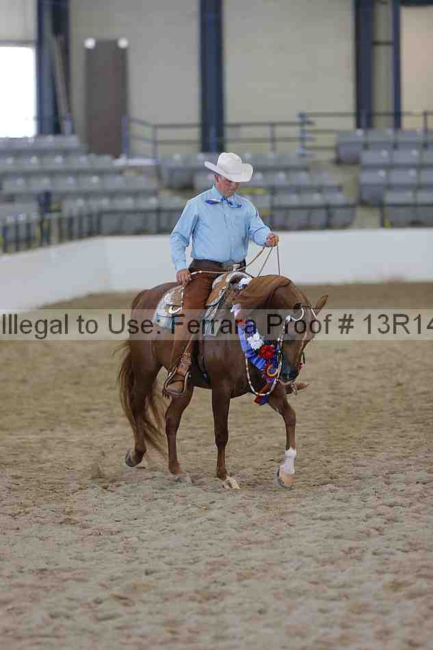 Proof 13r14_6592
