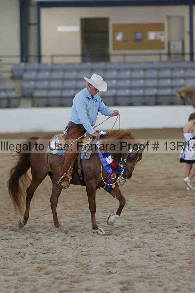 Proof 13r14_6593