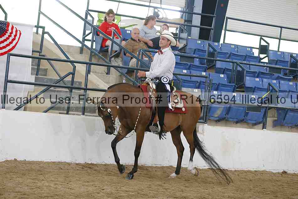 Proof 13r14_6594
