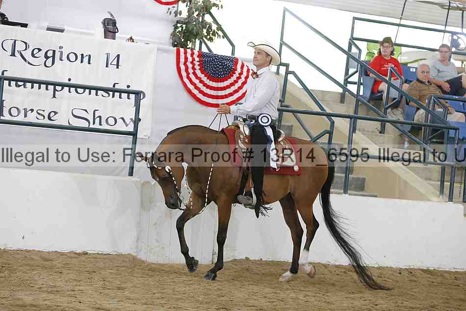 Proof 13r14_6595