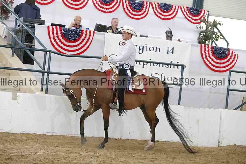 Proof 13r14_6596