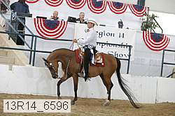 13r14_6596 proof