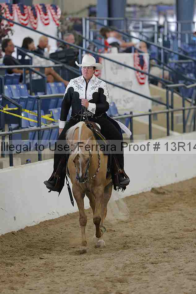 Proof 13r14_6599