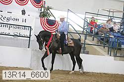 13r14_6600 proof