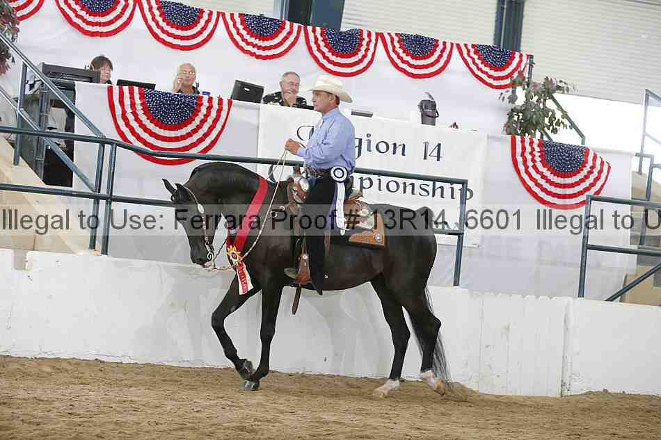 Proof 13r14_6601