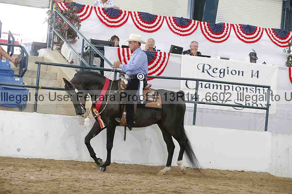 Proof 13r14_6602