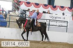 13r14_6602 proof